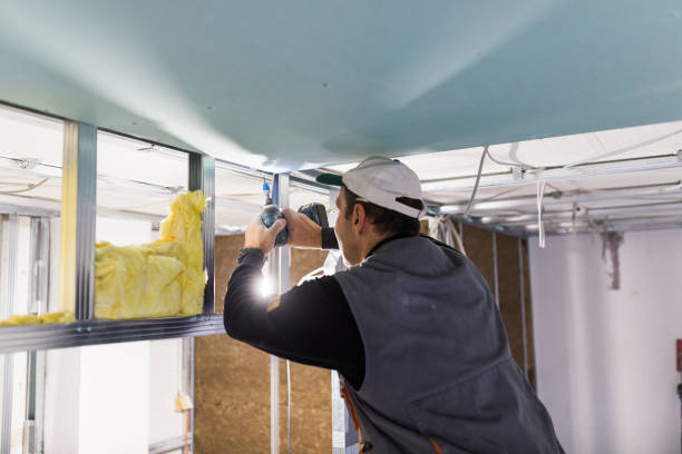 Best Commercial Insulation in Union Mill, VA
