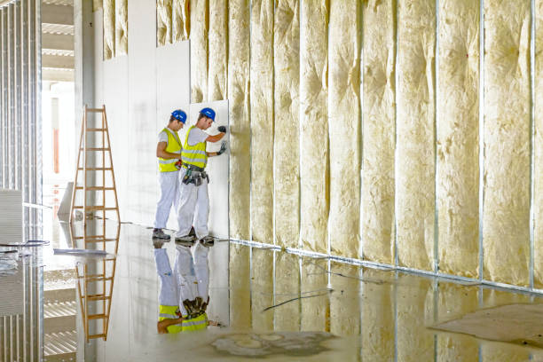 Best DIY Insulation Kits and Guidance in Union Mill, VA